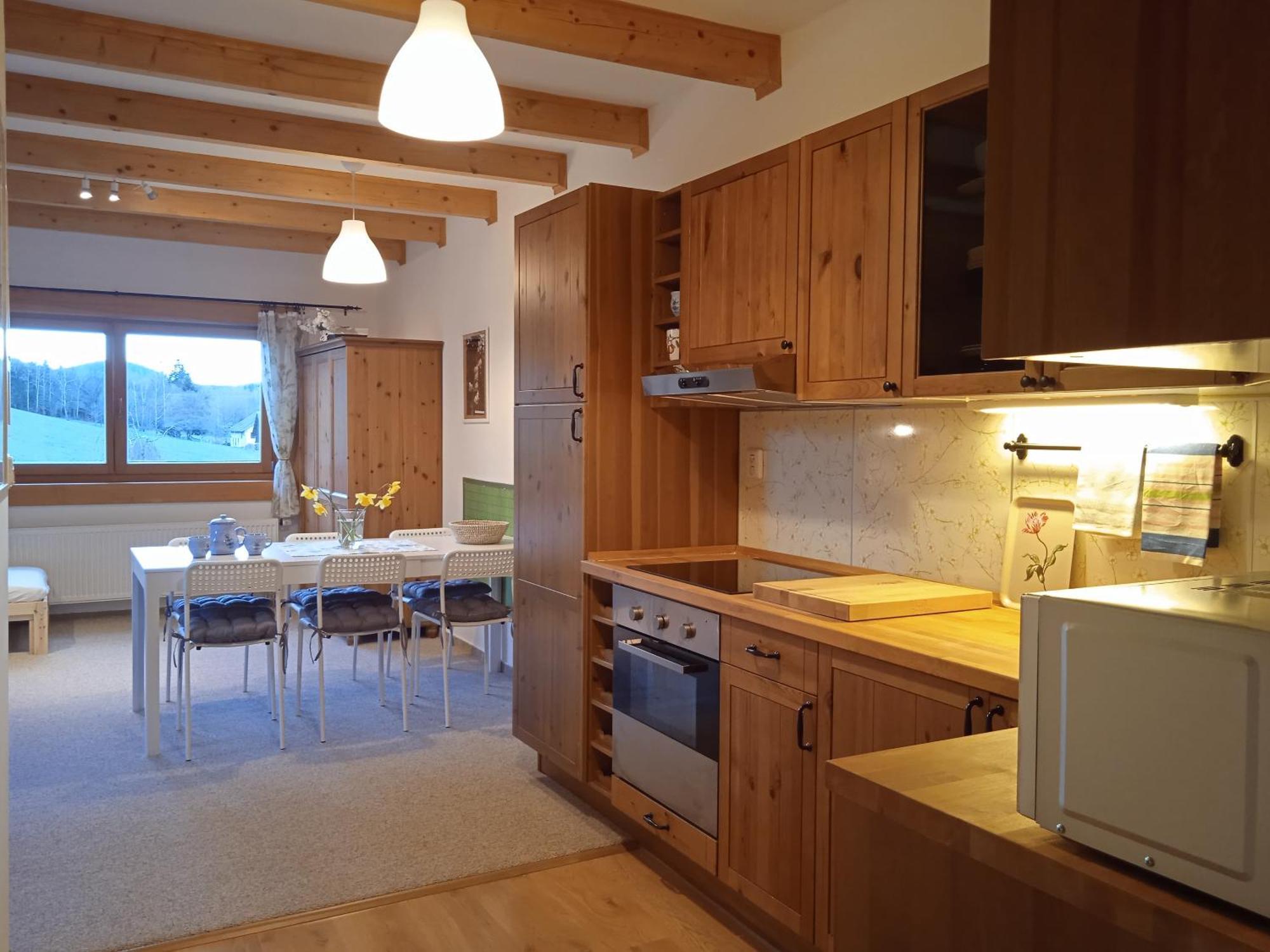Srub Javorna - Apartmany Sumava Εξωτερικό φωτογραφία
